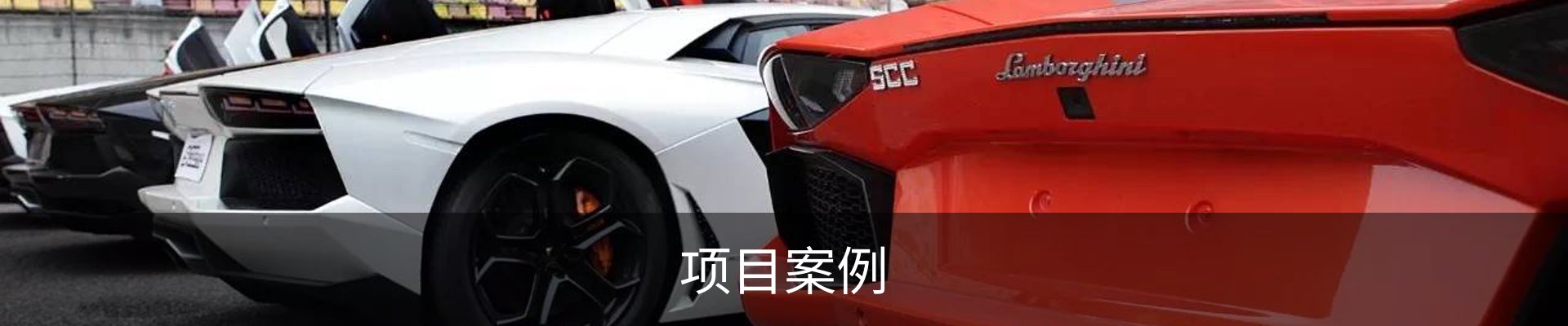 项目案例